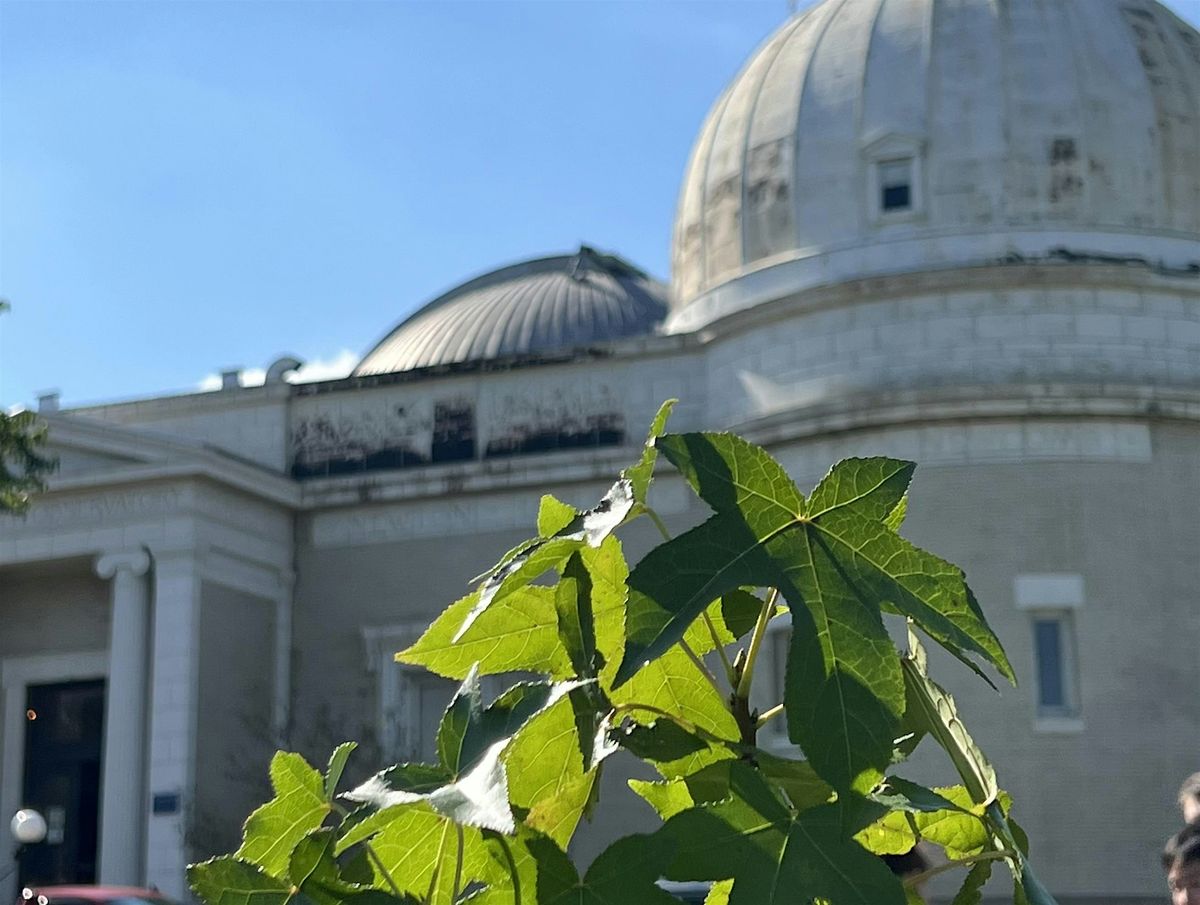 Celebrate the MoonTree for Arbor Day