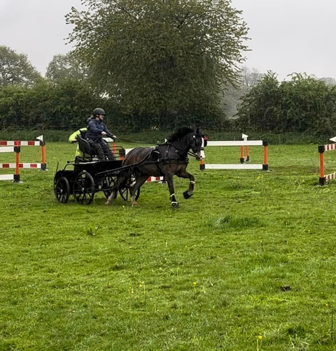 Inside Out at Dummer Down Farm