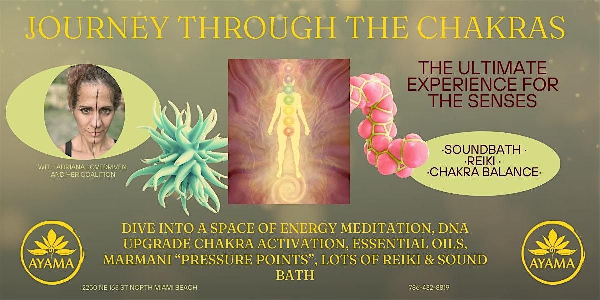 Journey Through the Chakras