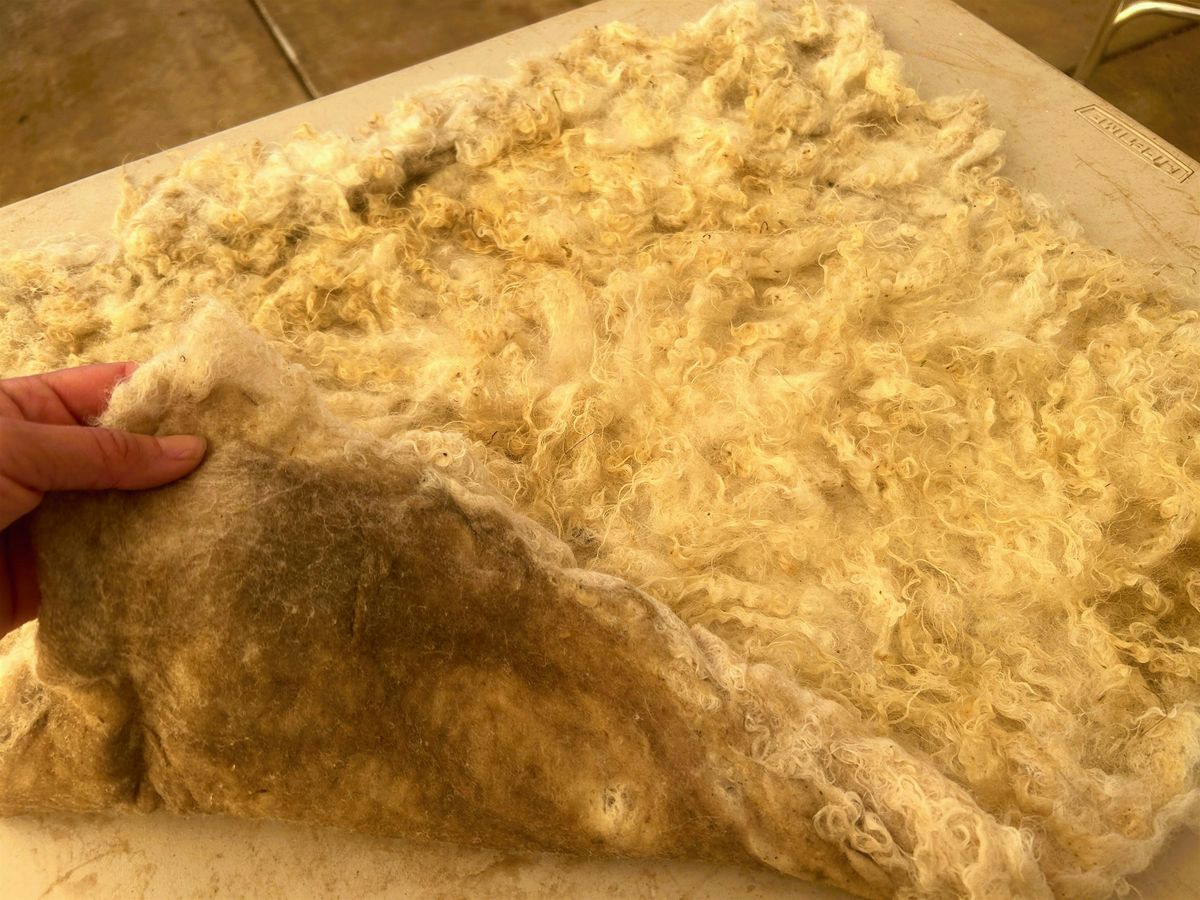 Felt a sheepskin rug