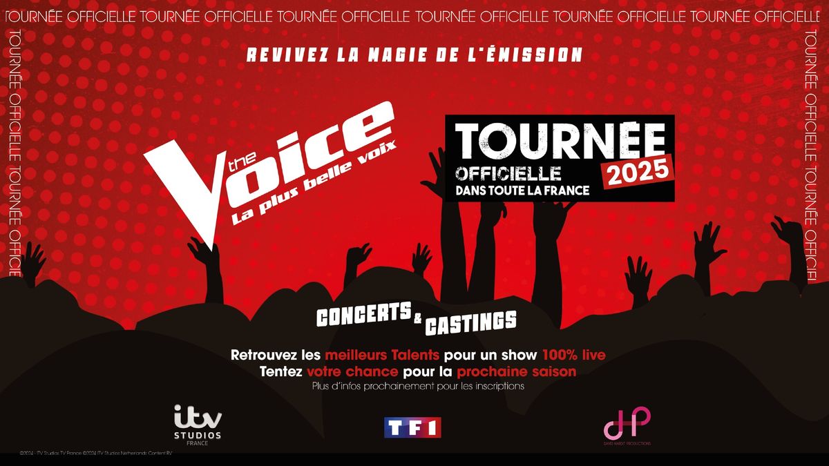 The Voice - Casting et concert