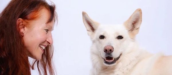 Kostenloser Vortrag, Eva Windisch: Aktuelles rund um den Hund