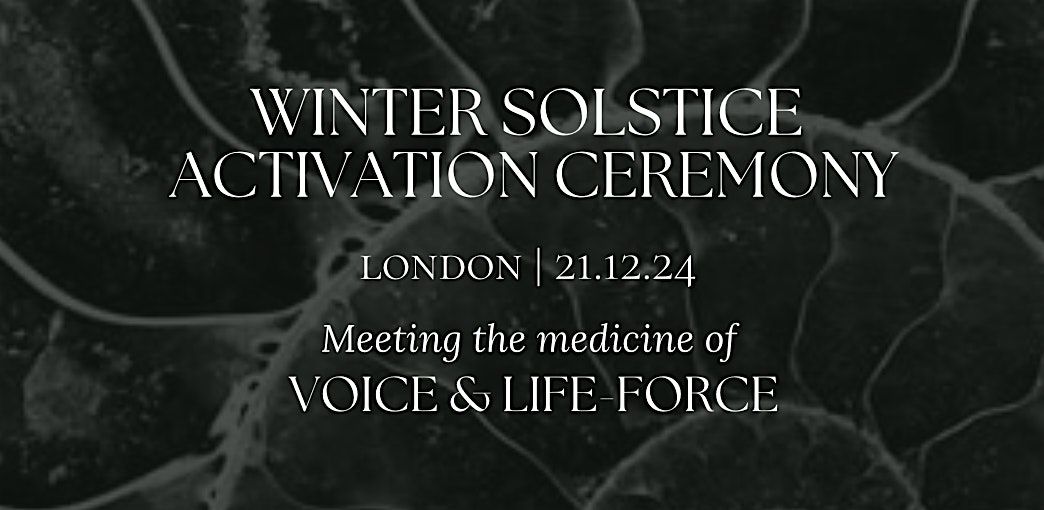 Winter Solstice Voice Activation