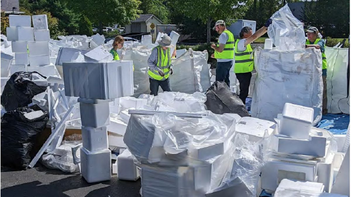 Styrofoam Collection