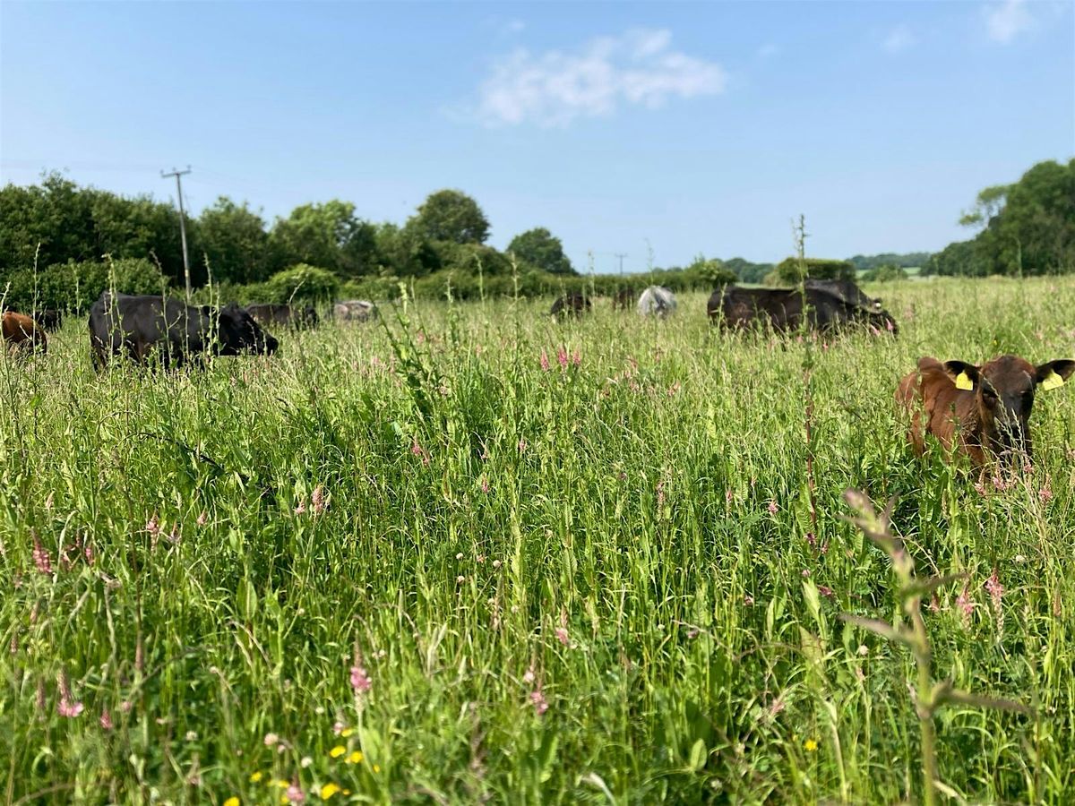 Climate Resilience Through Regenerative Farming
