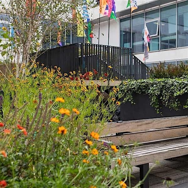 Growth garden workshop