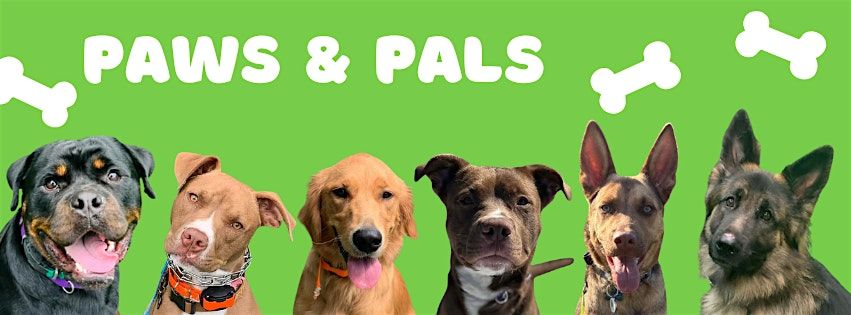 MMK9A Paws & Pals: FREE Public Group Training Day!