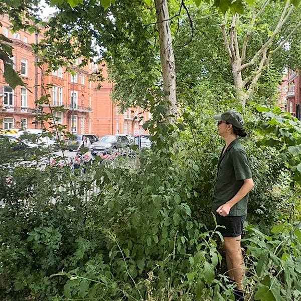DeCarbon Dialogues: Planning a Microforest for DeKalb
