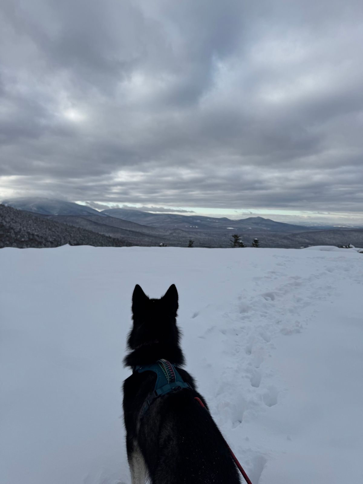 9AM Bald Peak Fast Pace Hike on Saturdays