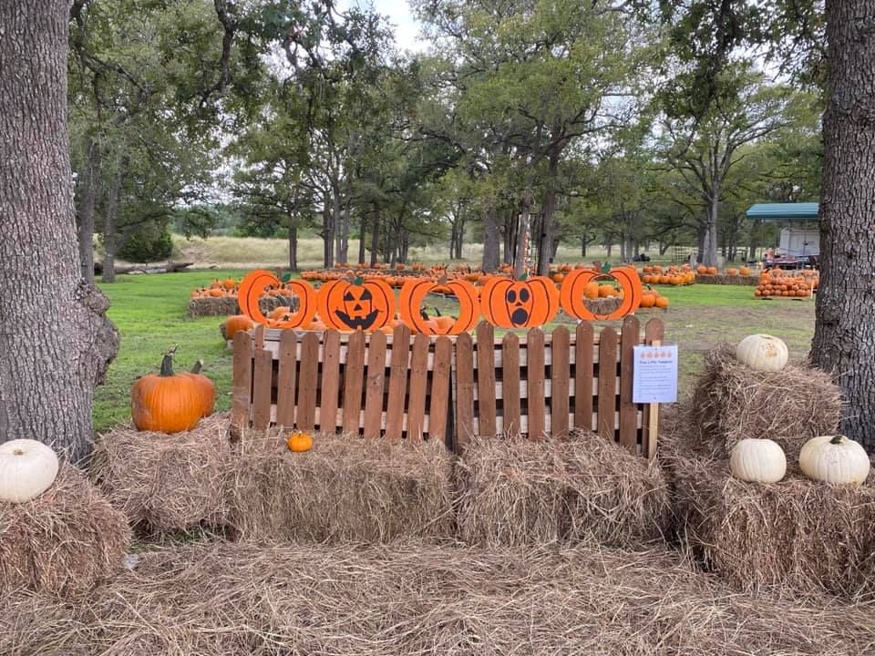 Bulverde Pumpkin Patch Fall Festival