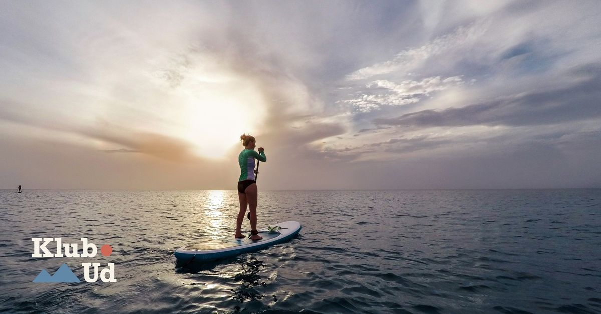 SUP - Aarhus Bugten