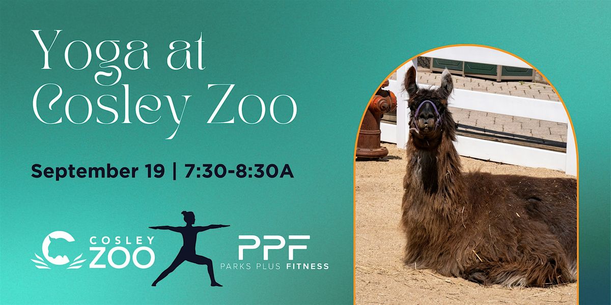 Yoga at Cosley Zoo