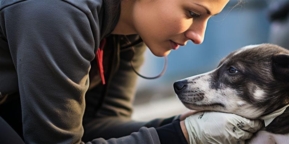 Drag Brunch to Benefit CJ Paws