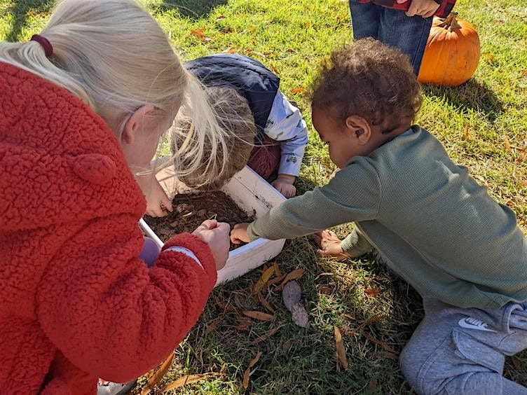 Little Explorers: Way Up High in an Apple Tree