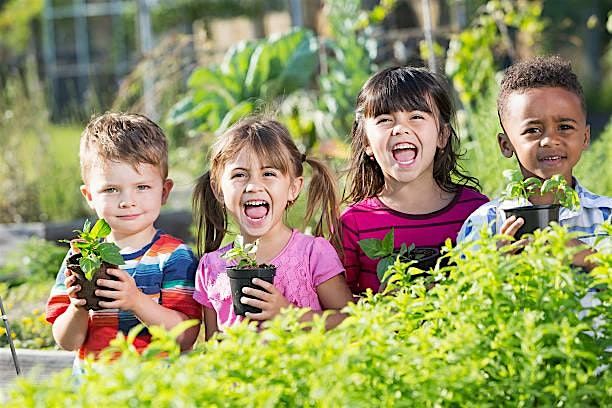 Fantastic Farmhands Elementary Age Program (Min Age 6-10)