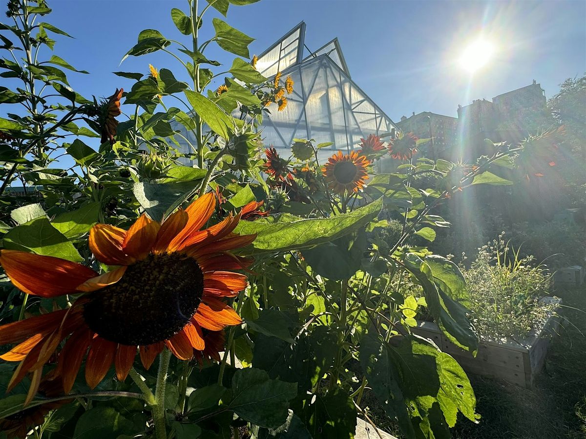 Urban Gardening 101: Green-the-In-Between Track (Mondays)