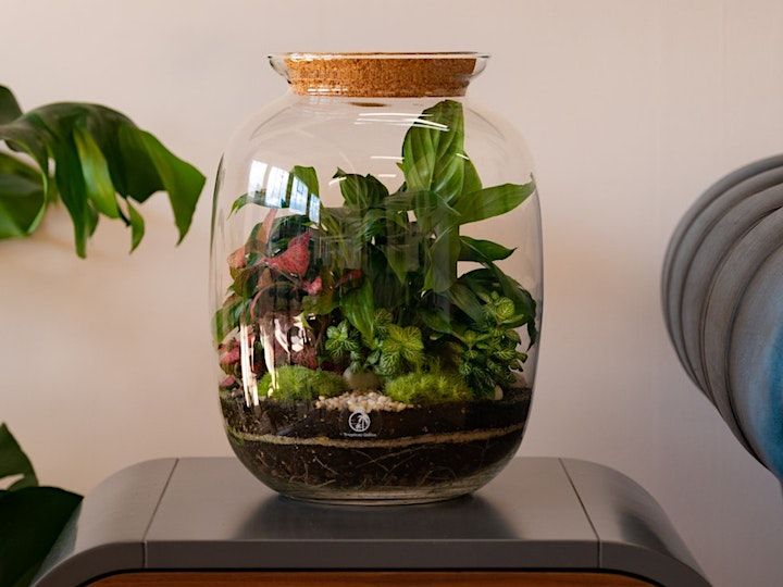 Make your own Terrarium with Tropical Glass London, N22 6AG, London, 8