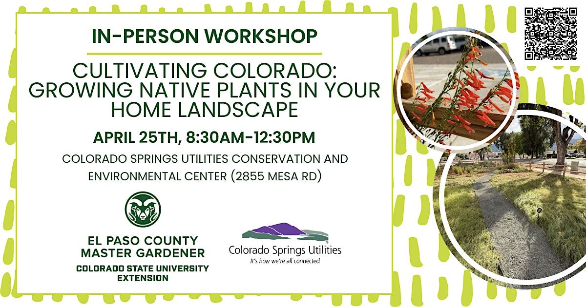 Cultivating Colorado: Growing Native Plants in Your Home Landscape