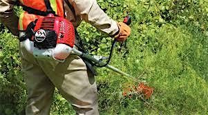 LANTRA Brushcutter\/Strimmer and Pesticides PA1