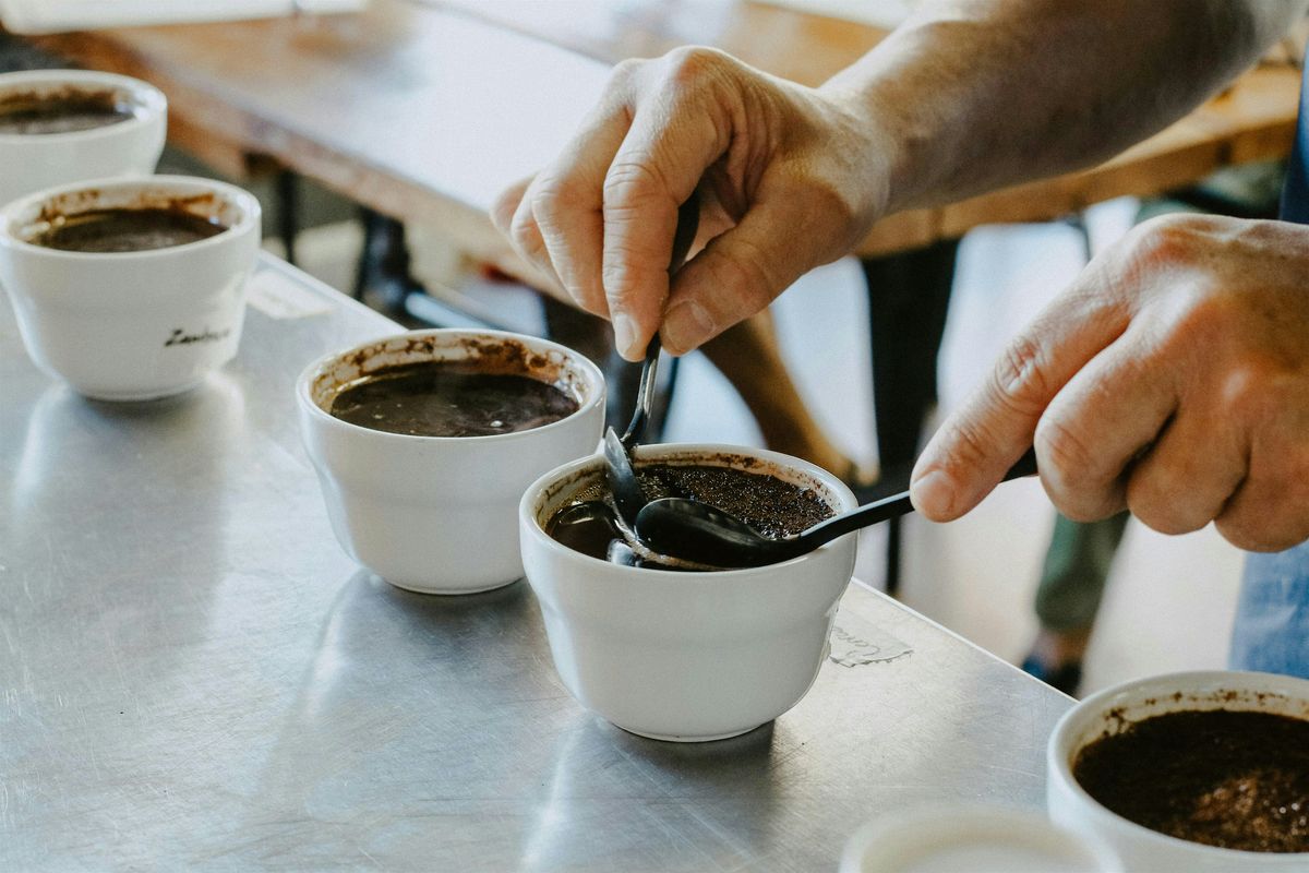 Intro to Coffee Cupping: Process & Tasting Workshop at Seattle Coffee Gear