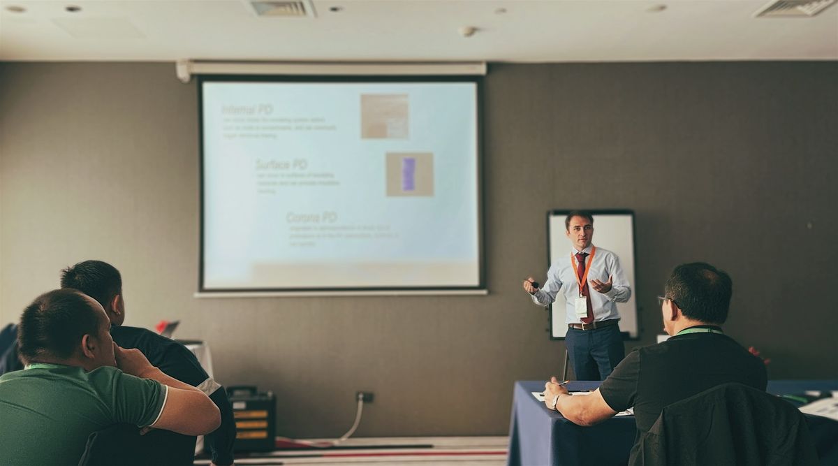 Partial Discharge Assessment - Melbourne - 2nd edition