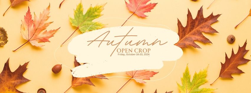 AUTUMN OPEN CROP