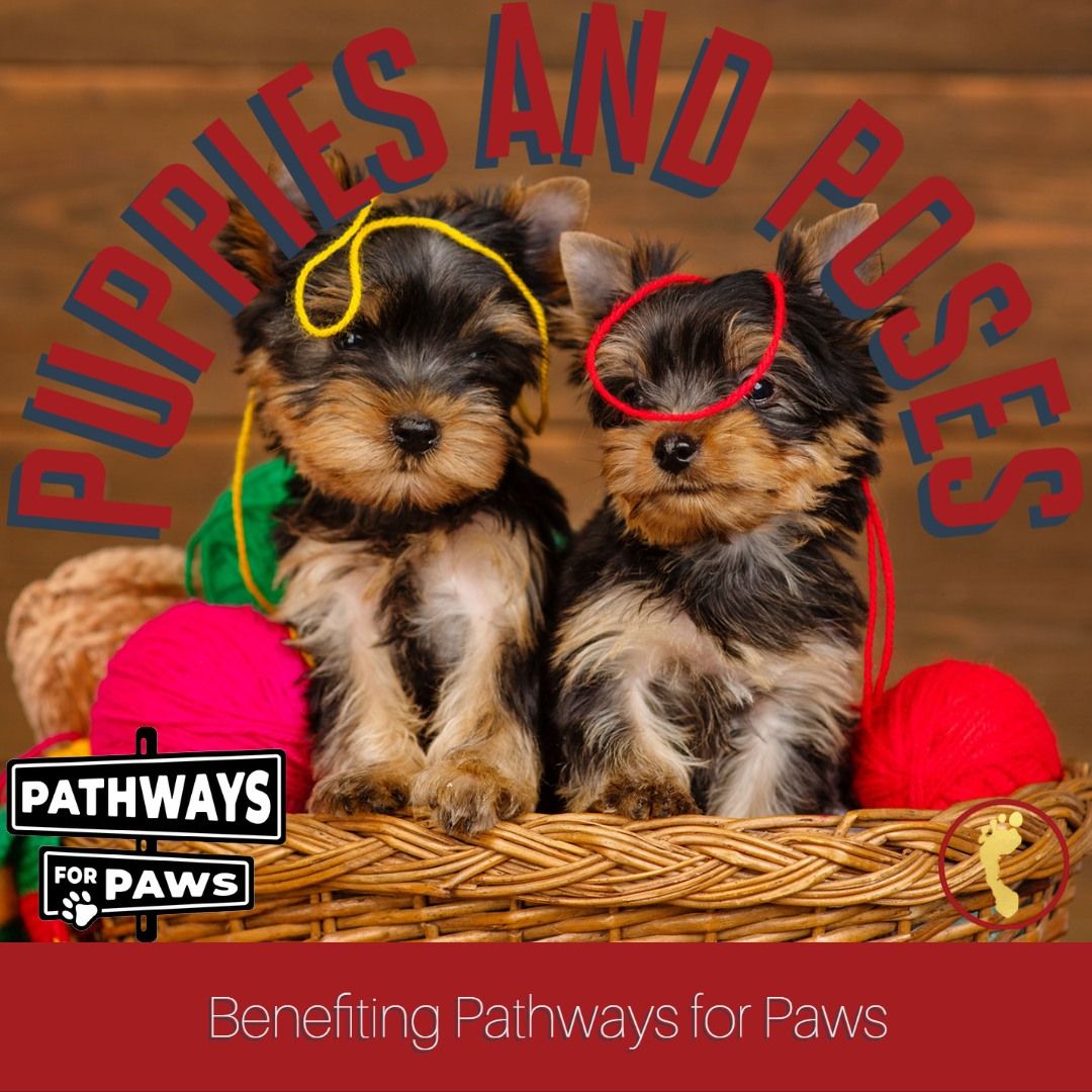 Puppies and Poses, benefiting Pathways for Paws