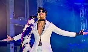 Purple Madness Prince Tribute