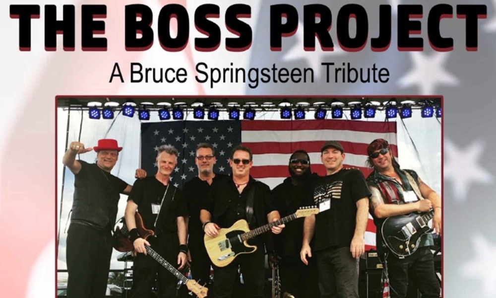 The BOSS Project