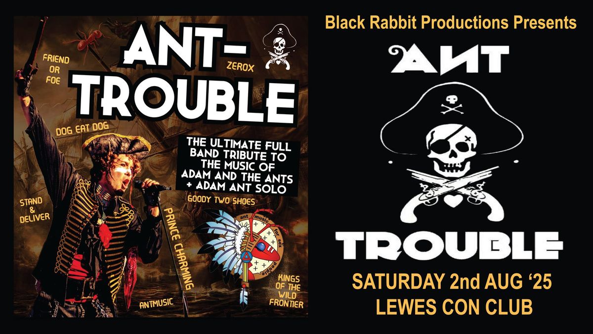 Ant-Trouble - Performing Adam & the Ants