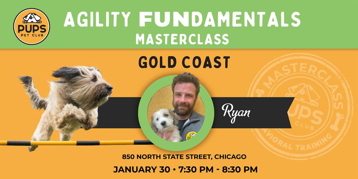 Introduction to Agility for Dogs - GOLD COAST 30