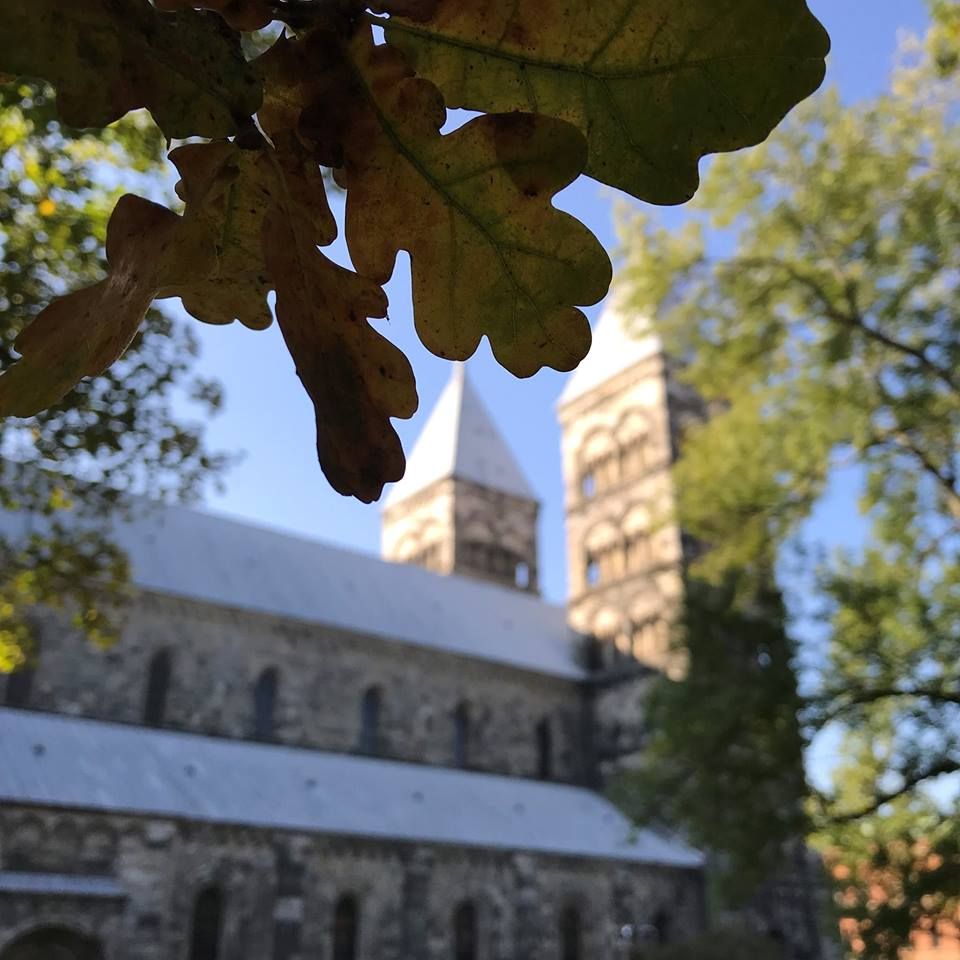 Guided tour of Lund Cahtedral