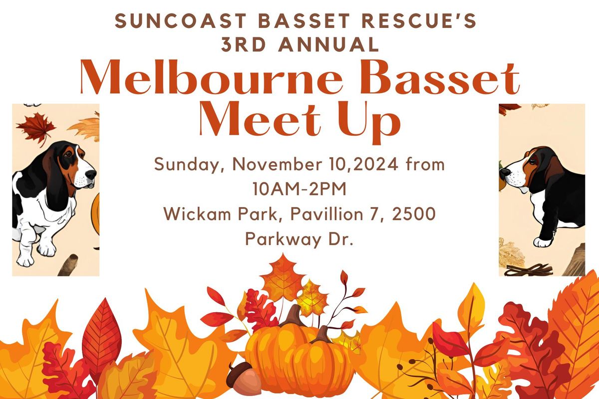 Melbourne Basset Meet Up!