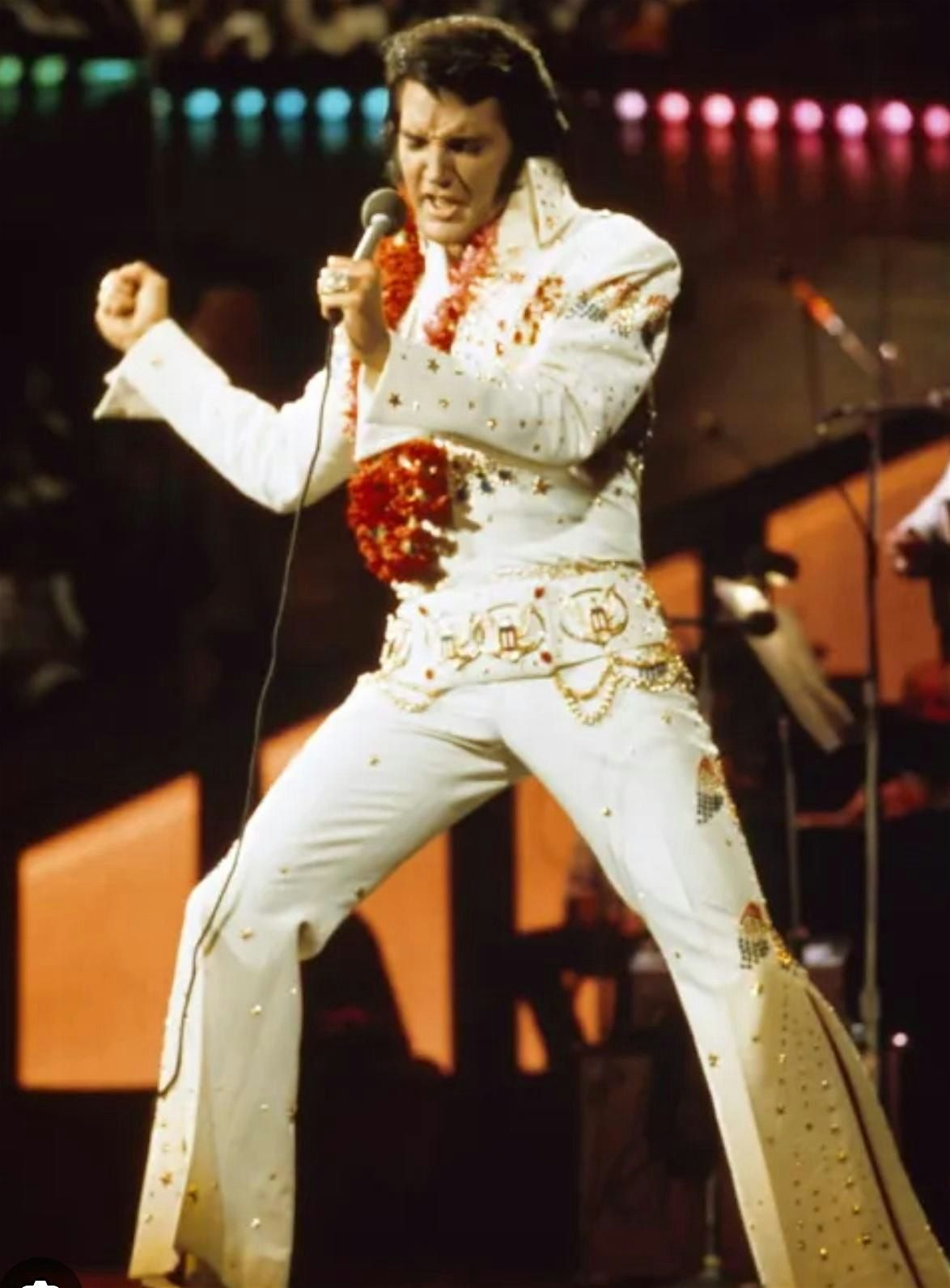 Elvis\u2026 for one night only!