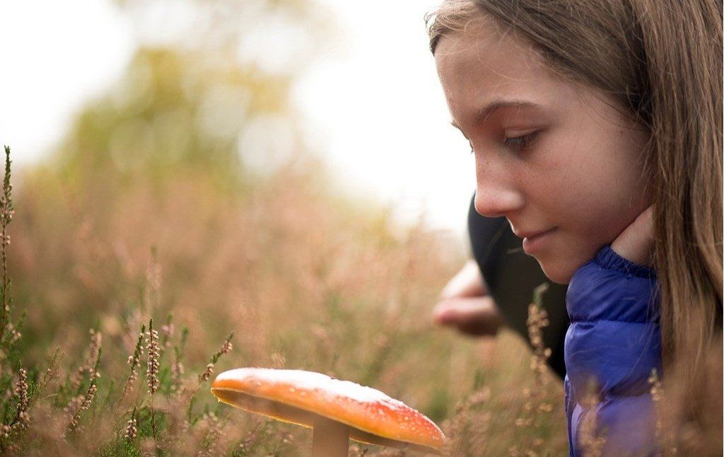 Preschoolers Nature Club - Fabulous Fungi