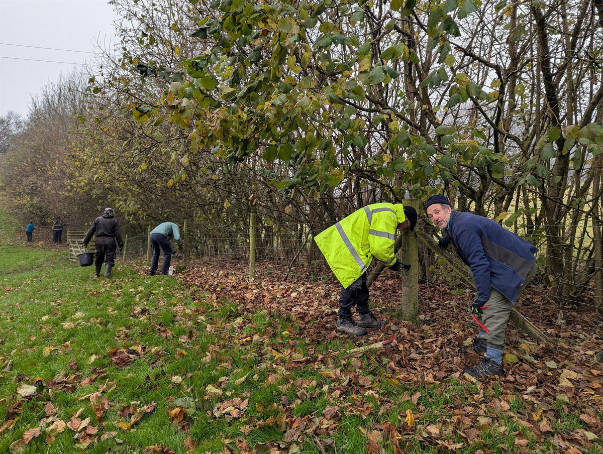Volunteering @ Wilderness