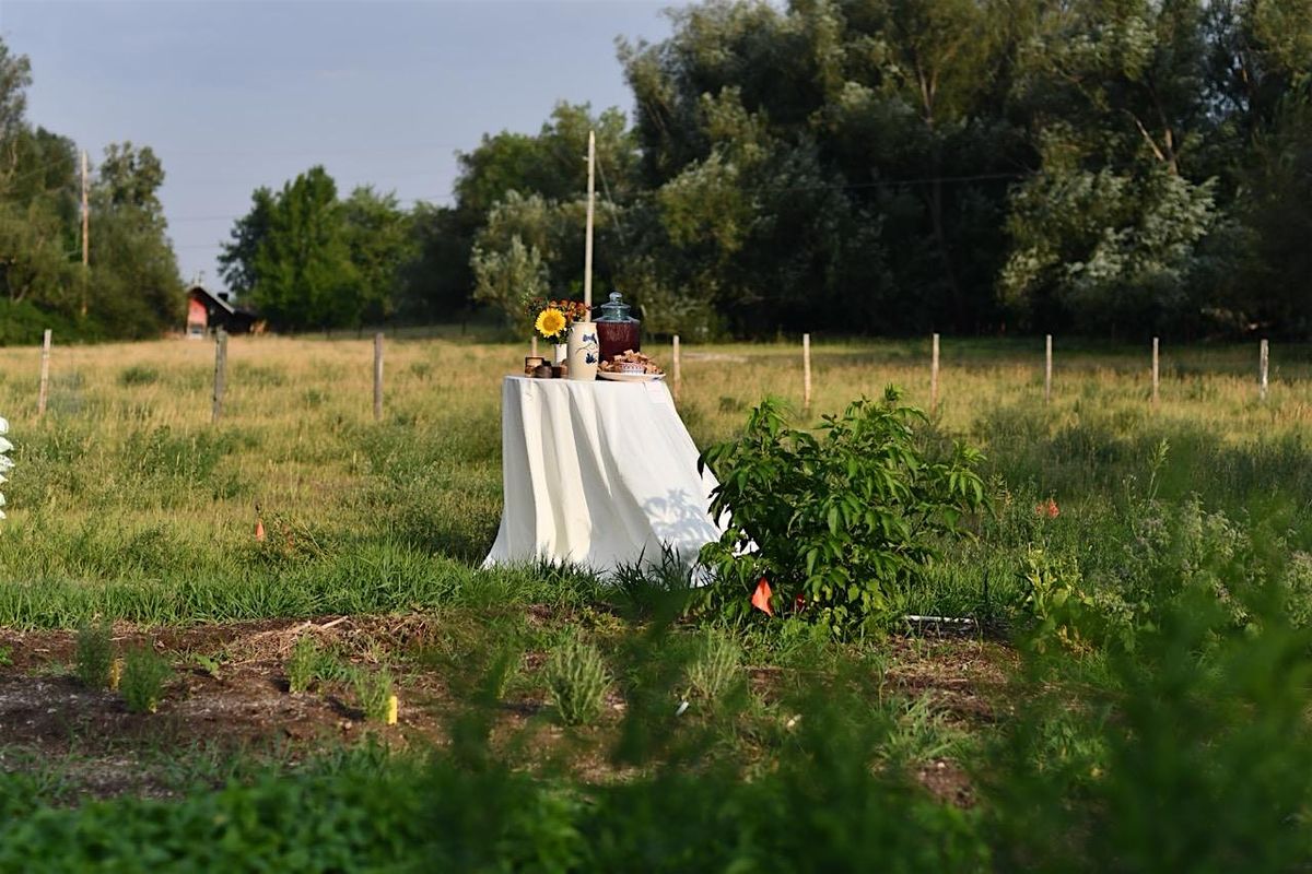 Farm to Food Access