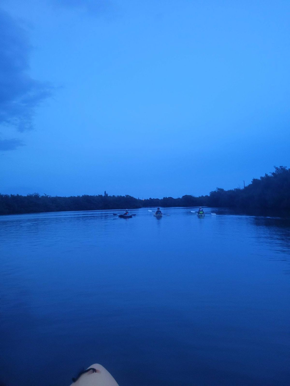 Bring Your Own Kayak: Bioluminescence