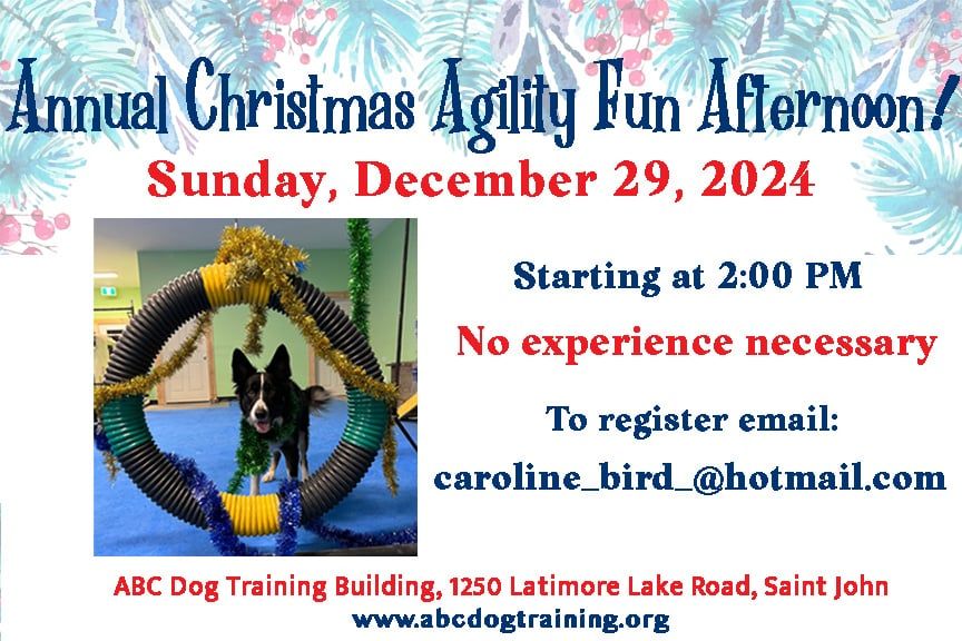 Christmas time, Dog Agility FUN Afternoon fund raising event