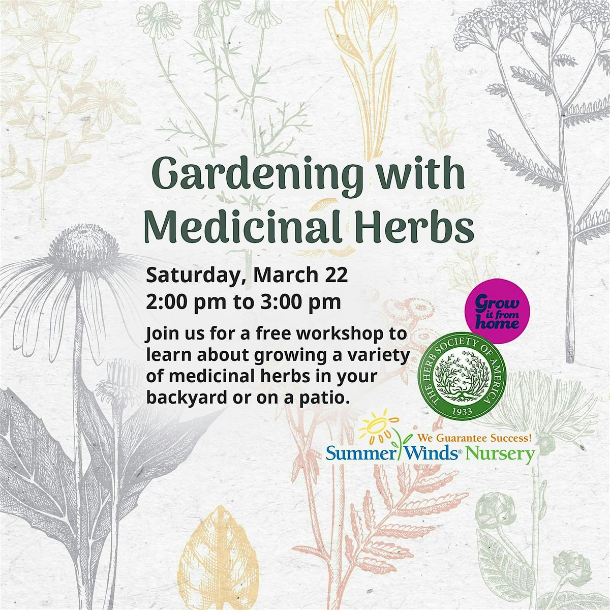 Gardening with Medicinal Herbs in Dublin