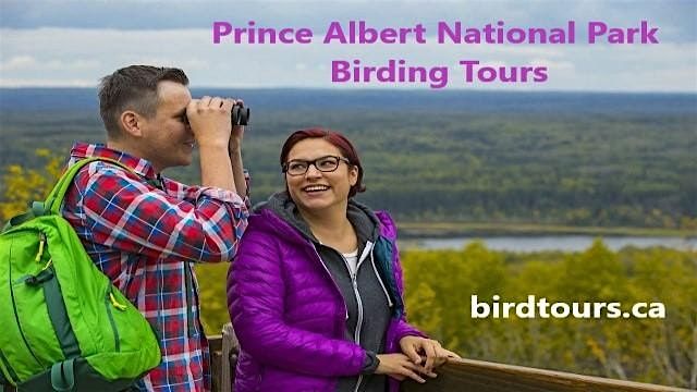 Prince Albert National Park 1-day Birdwatching Tour