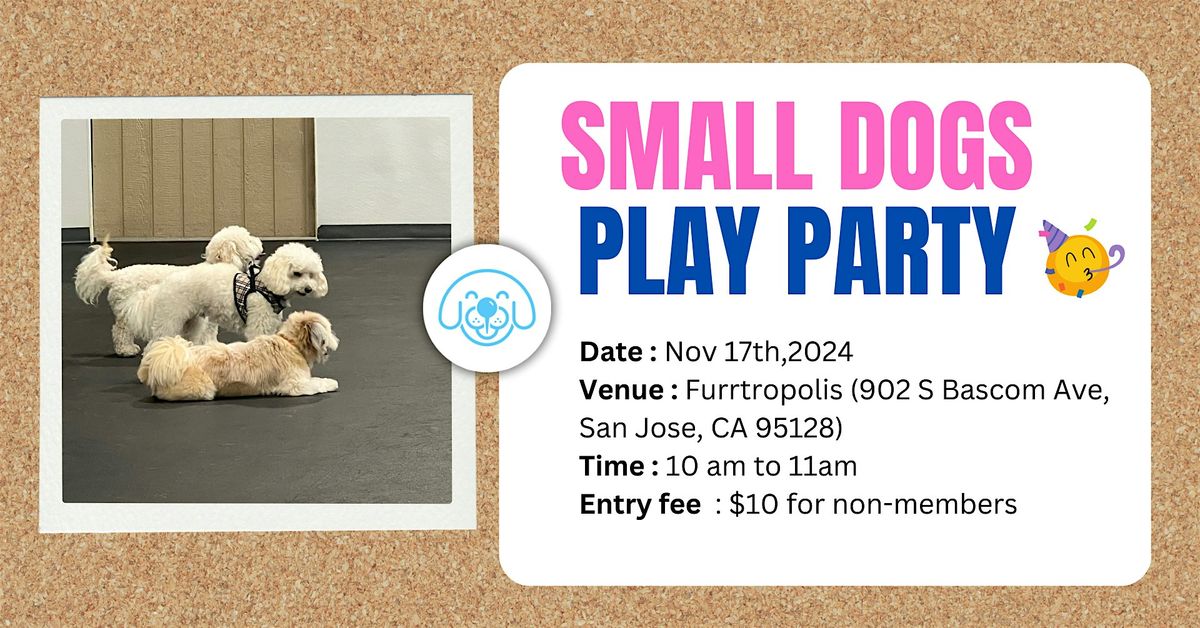 DogHood Small Dogs Play Party