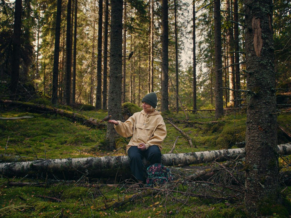 Environmental Film Festival: Once Upon a Time in a Forest