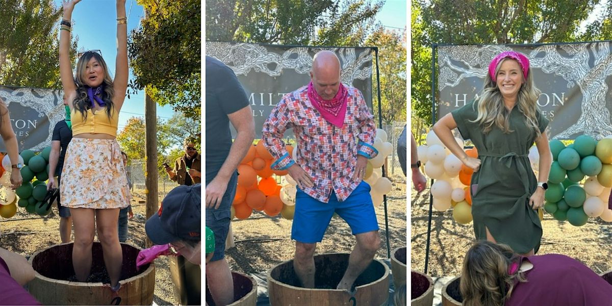 Hamilton Family Wines 2nd Annual Grape Stomp!