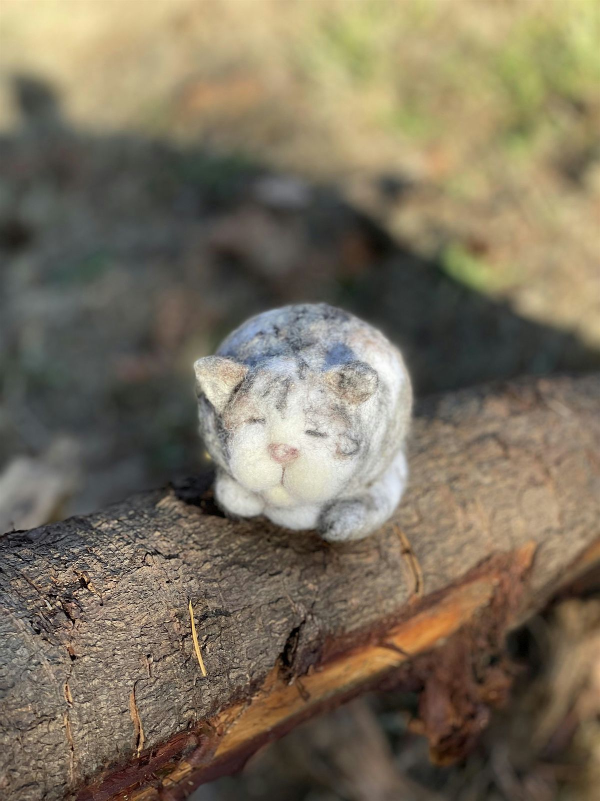 Needle Felting Class - Sleepy Cat at Swan Island Dahlias