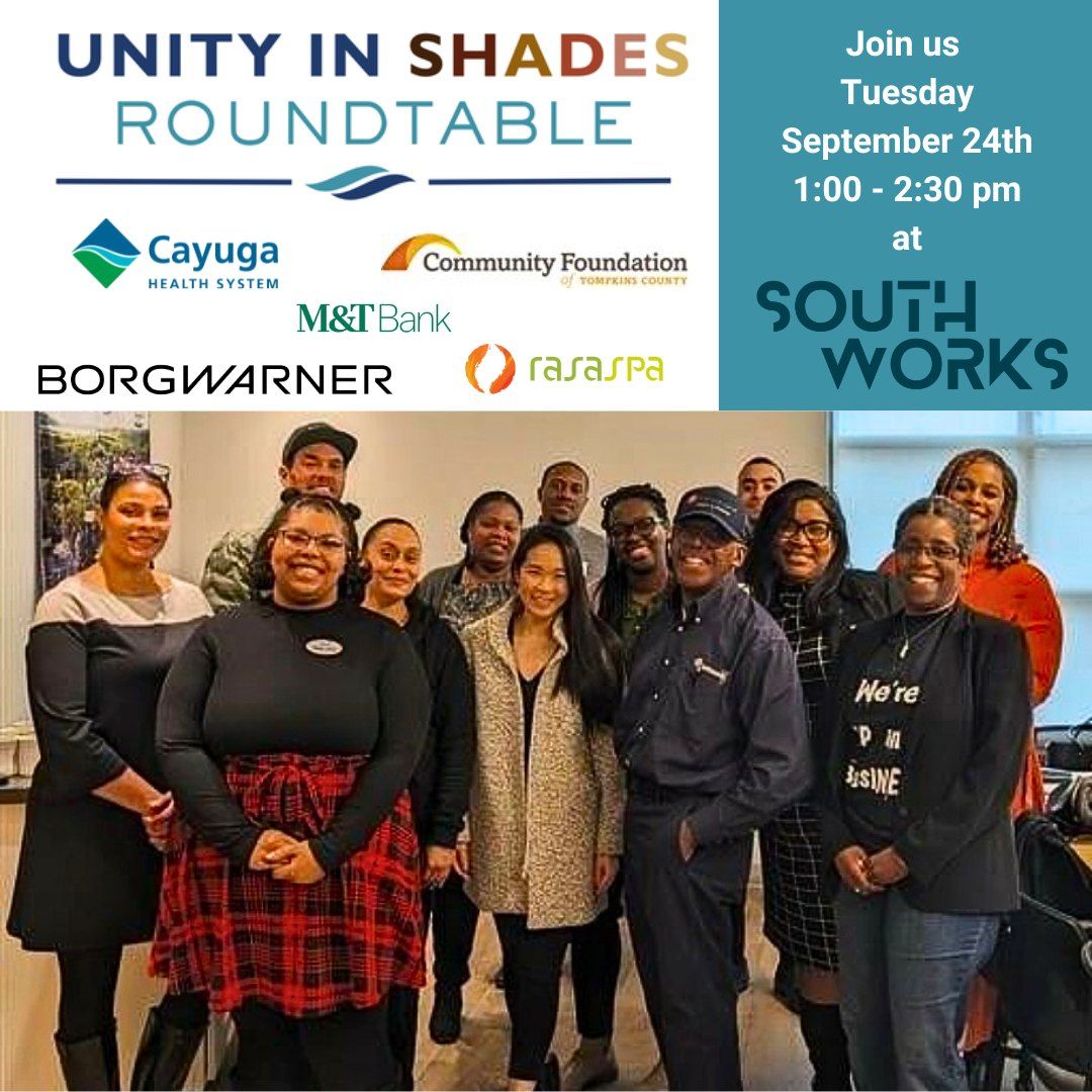 Unity in Shades Roundtable