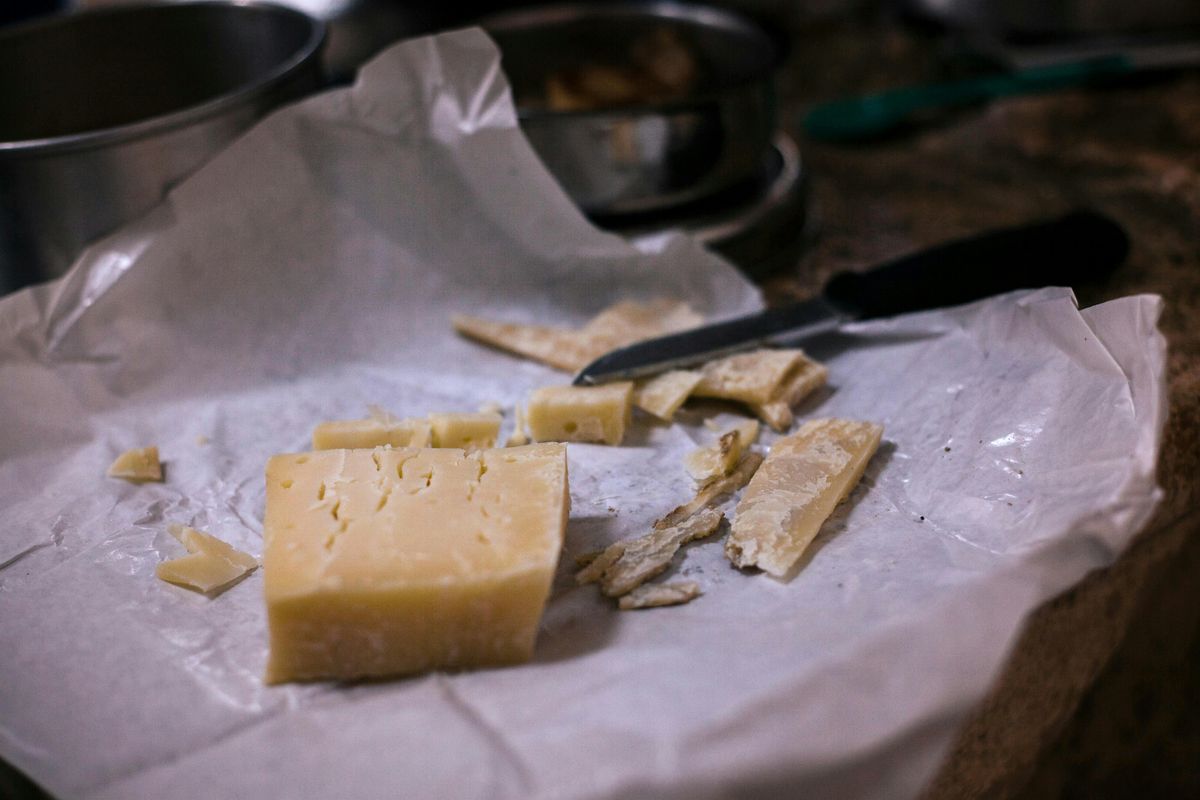 Cheese X Beer Tasting