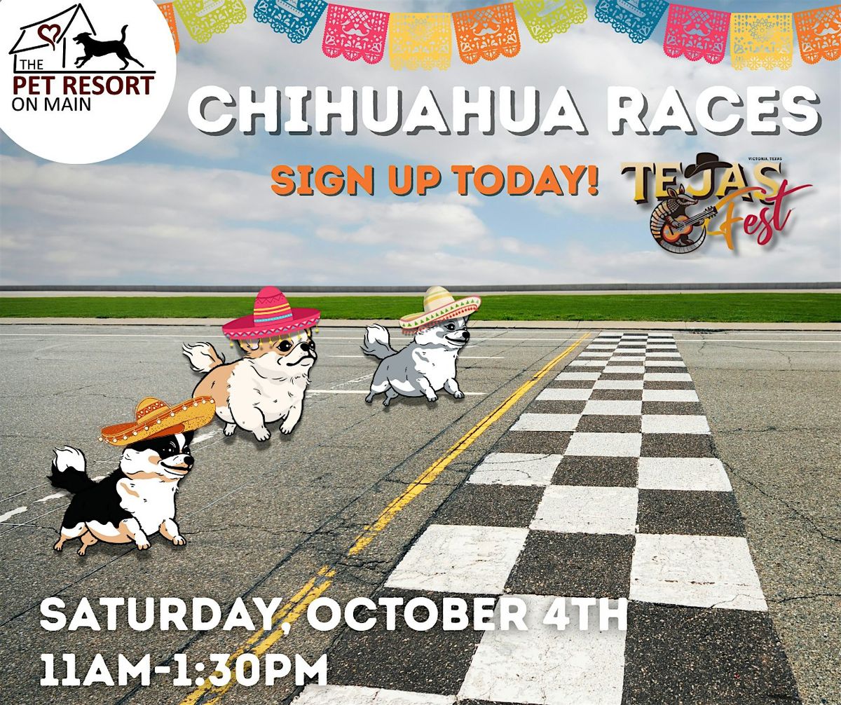 Chihuahua Races at Tejas Fest- Pre-Registration