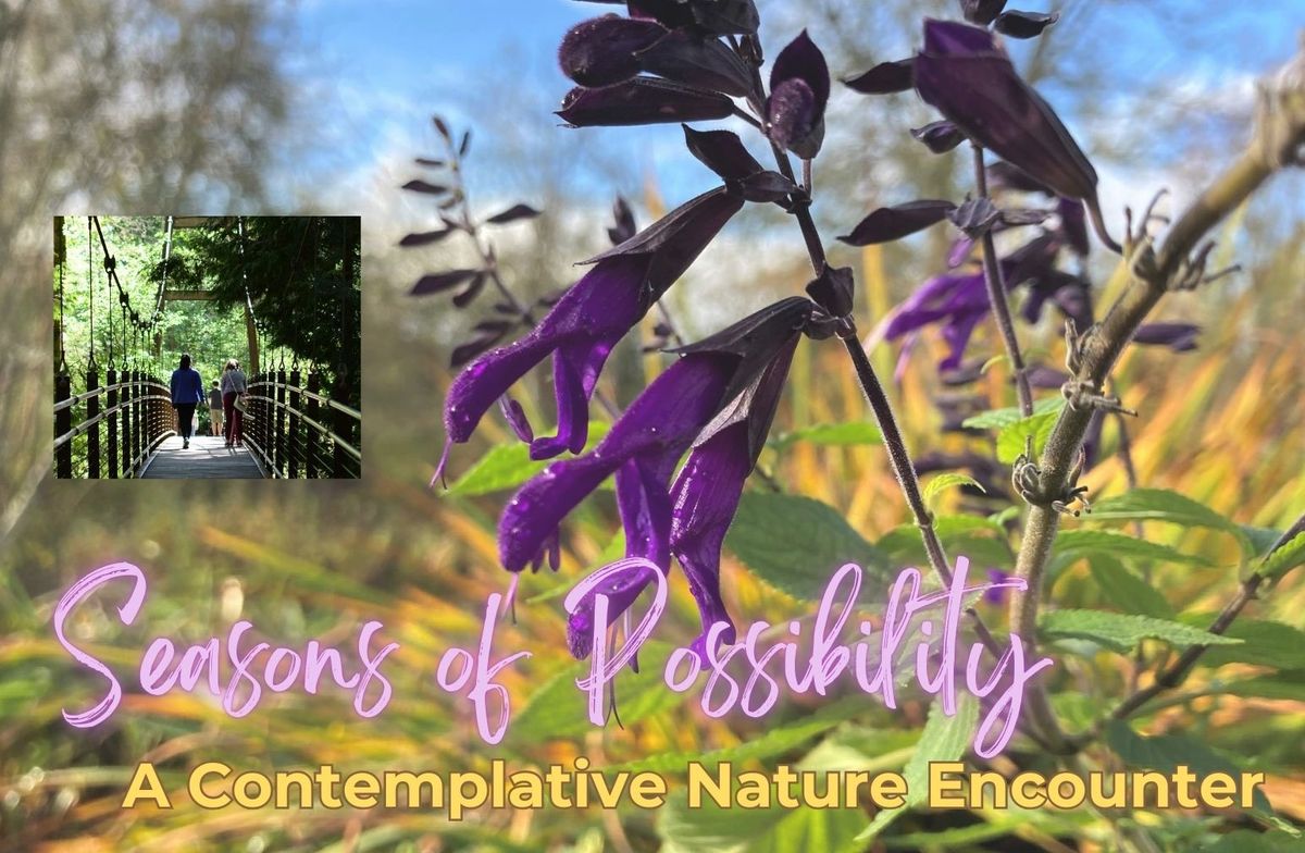 Seasons of Possibility: A Contemplative Nature Encounter