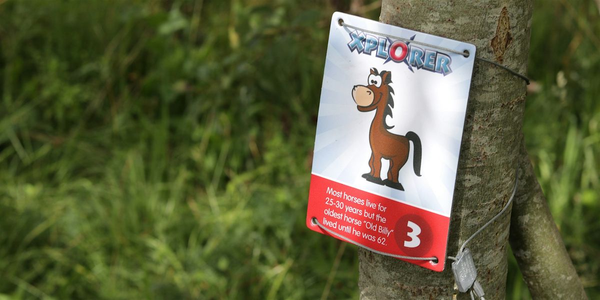 Xplorer at Brockholes